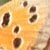 thumbnail link