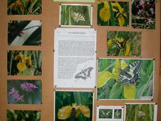 Photo of noticeboard at Wheatfen