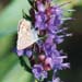 cb_015_12a