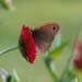 mb_015_12a